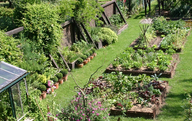 Comment bien aménager son jardin potager ?