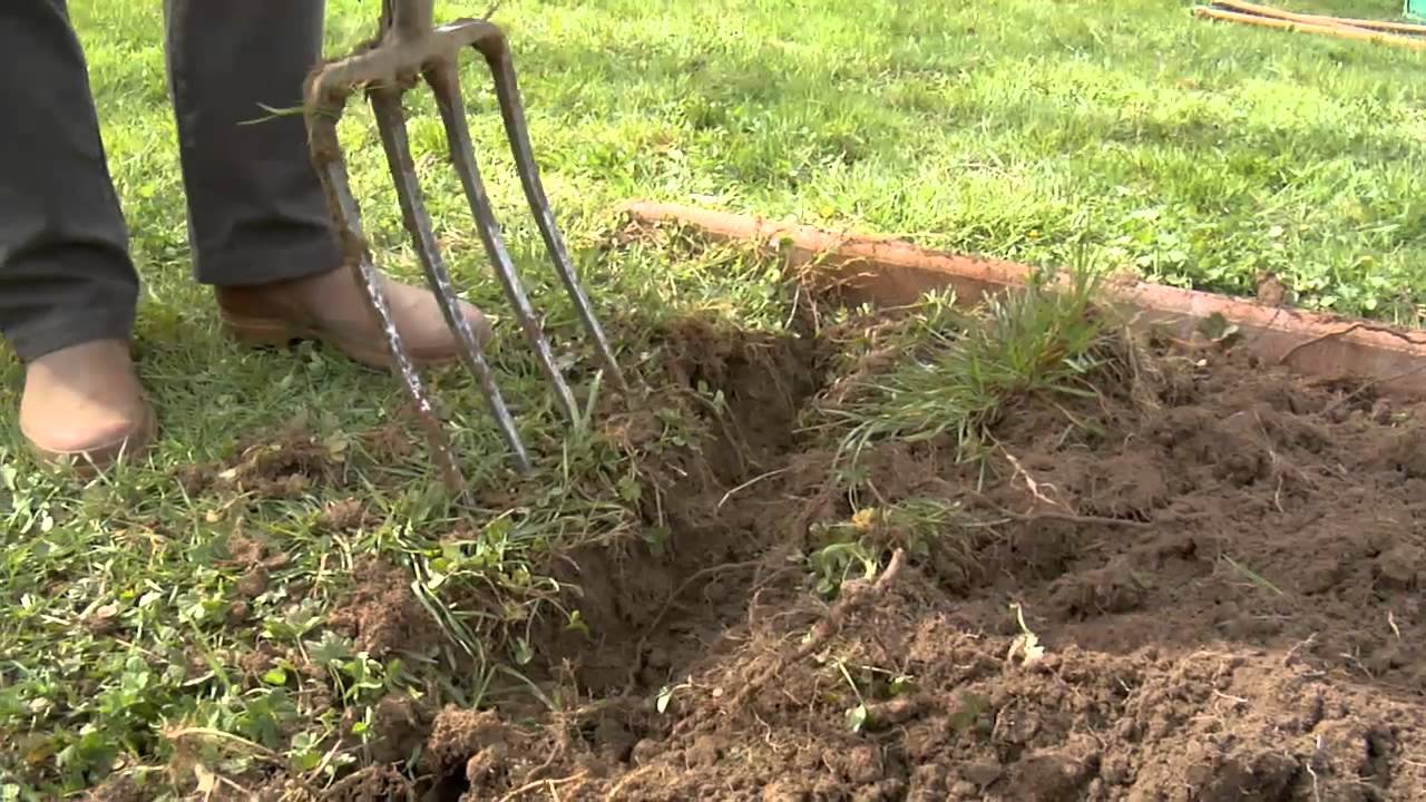 Comment améliorer la terre du potager ?