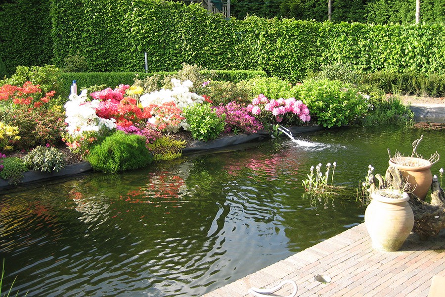 Comment construire un bassin dans son jardin ?