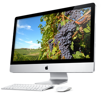 Miser sur le web pour faire connaitre son vignoble