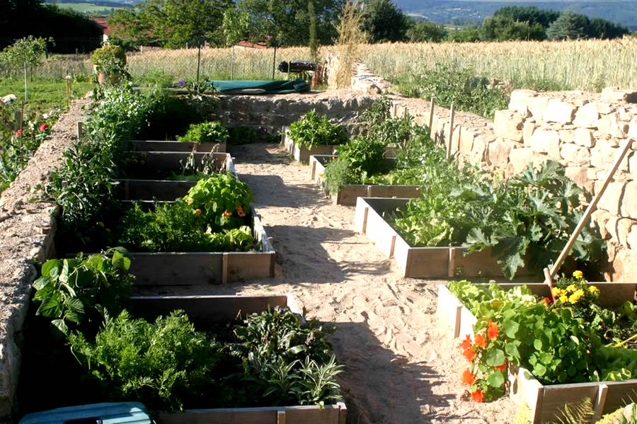 Comment créer un potager bio ?