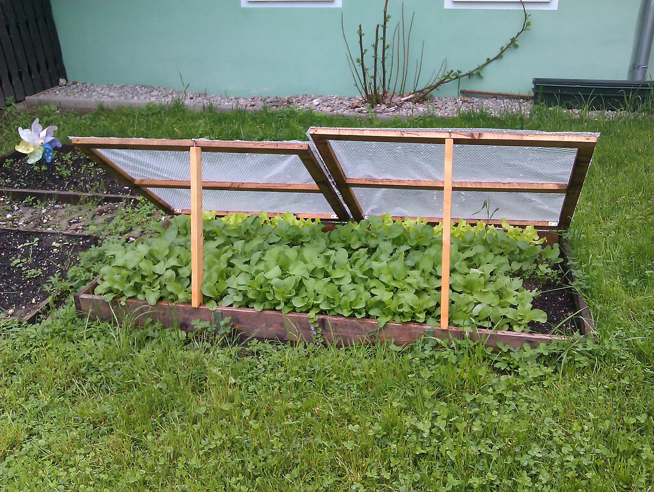 Quels travaux effectuer dans son potager en janvier ?