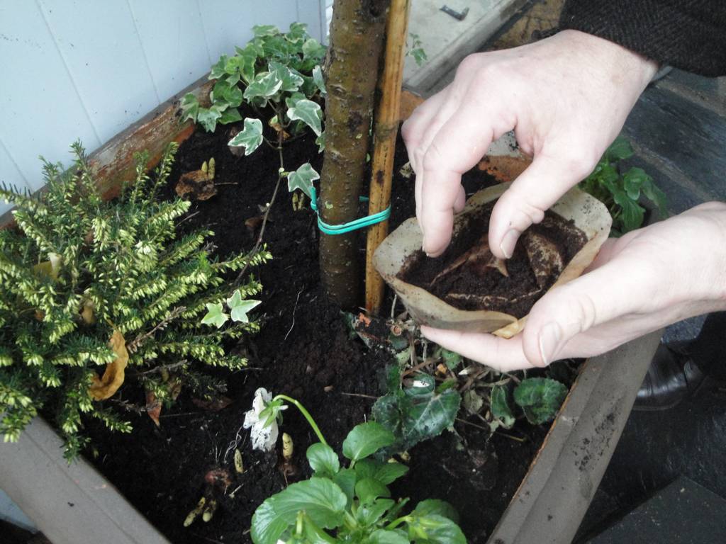 marce-de-cafe-pour-potager