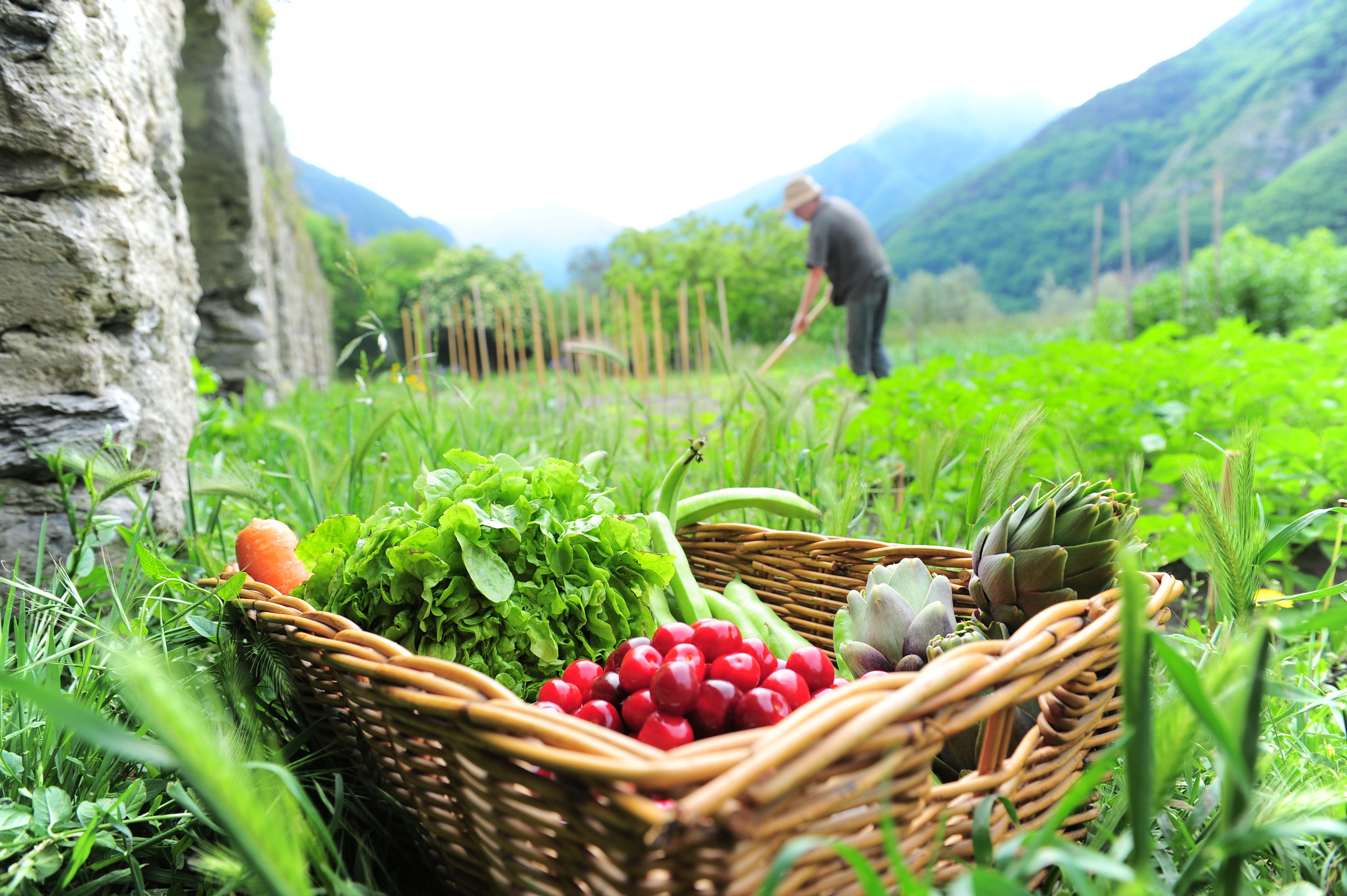 Comment rendre son potager productif ?