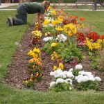 potager-entretien-printemps-jardin-des-plantes-bords-de-seine-9_gagaone