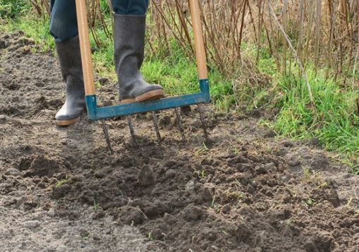 Conseils pour la préparation du sol de potager